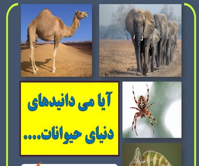 آيا مي دانيد هاي جالب براي دانش آموزان