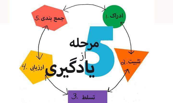 مراحل مطالعاتی برای یادگیری